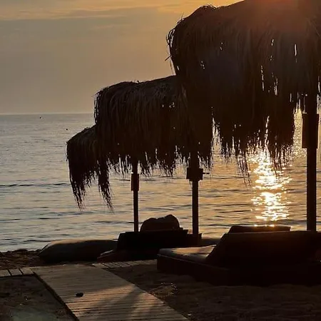 Olive Garden * Toroni