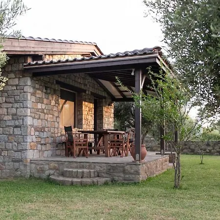 Olive Garden * Toroni