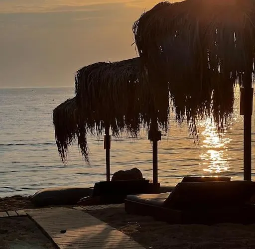 Olive Garden * Toroni