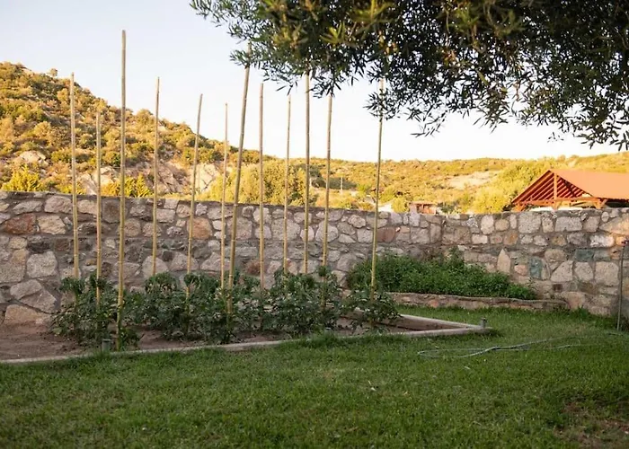 Olive Garden * Toroni